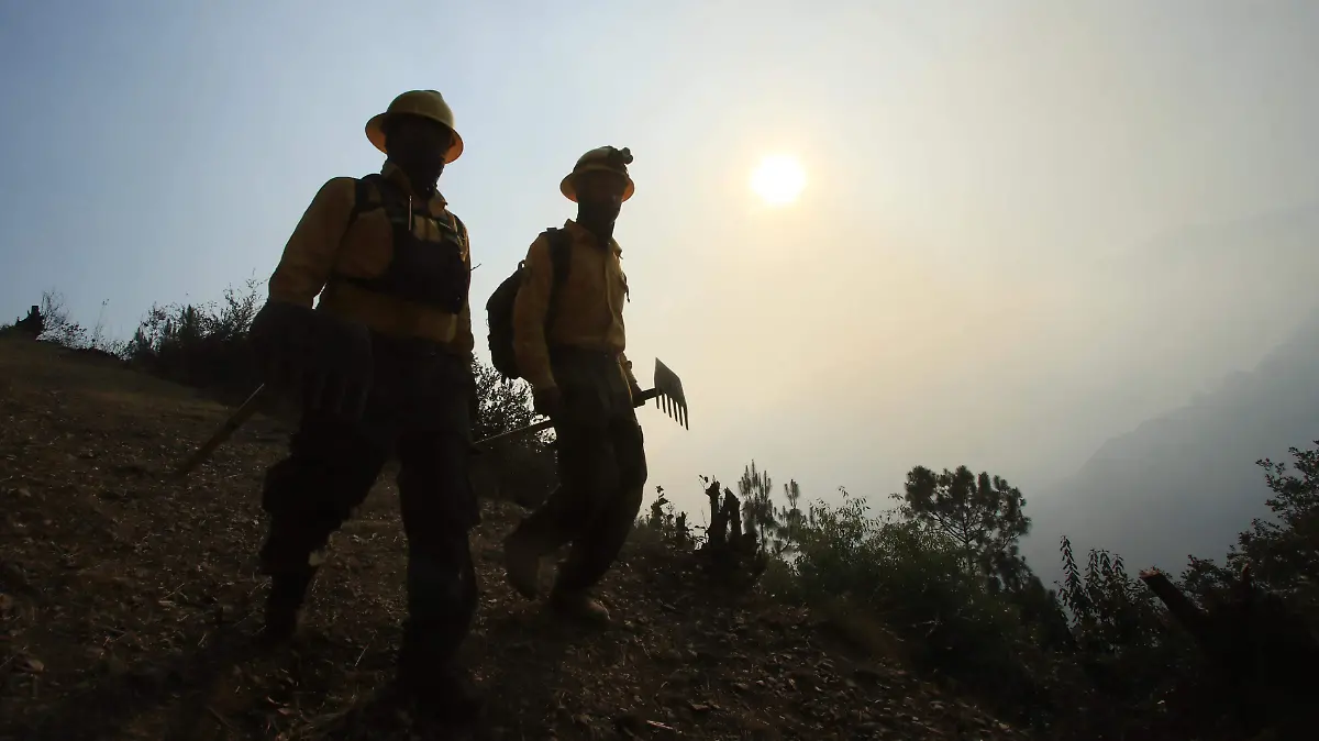 Incendio consume bosque y viviendas en comunidades de Zacatlán4